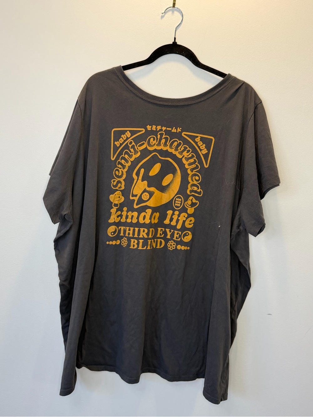 Third eye blind Semi Charmed oversized tee